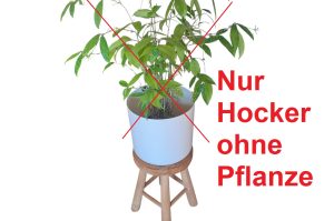 Bambus mit Hocker W2