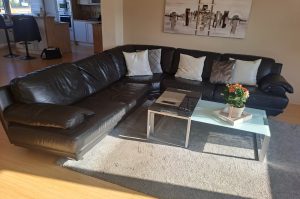 Leder Eckcouch W1