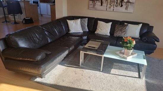 Leder Eckcouch W1