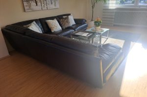 Leder Eckcouch W1