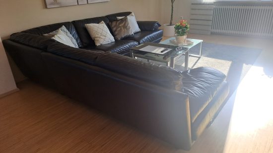 Leder Eckcouch W1