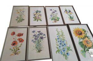 Aquarelle