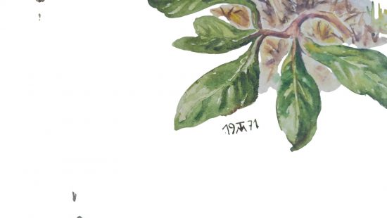 Aquarelle