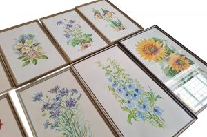 Aquarelle