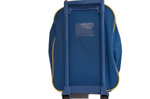 Kindertrolly