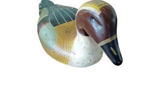 Ente EZ