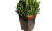 Blumentopf A