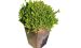 Blumentopf A