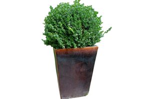 Blumentopf A