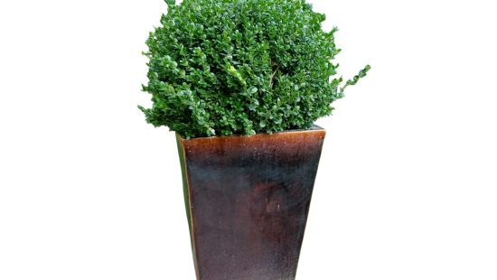 Blumentopf A