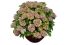 Blumentopf A