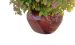 Blumentopf A