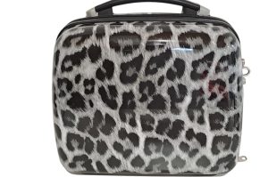Beauty Case