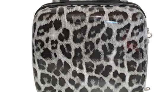 Beauty Case