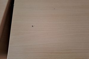 Büroschrank R1