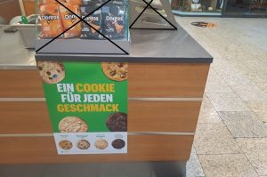 Kühlvitrinenthekenverbau