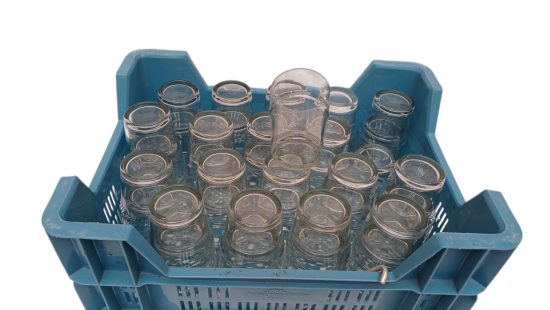 Wassergläser