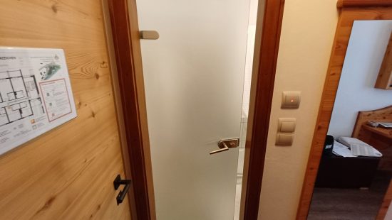 Glastür Z208