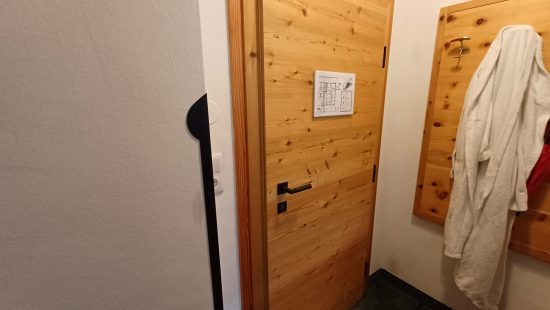 Zimmertür Z101