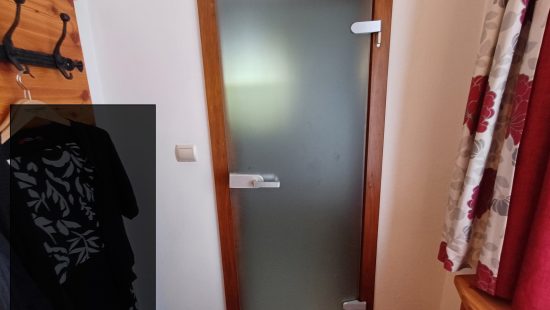 Glastür Z107