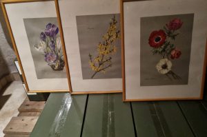 Bilder und Rahmen