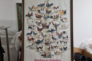 Bilder und Rahmen