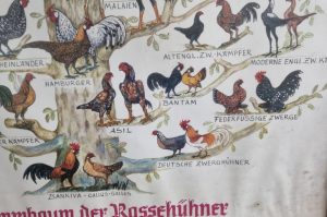 Bilder und Rahmen