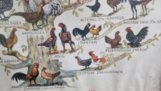 Bilder und Rahmen