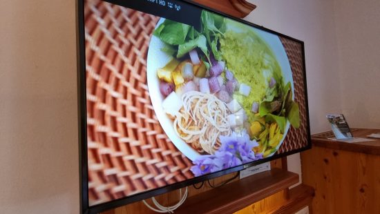 TV Gerät Z2011