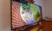 TV Gerät Z2011
