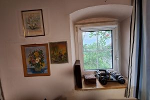 Flohmarktwaren Bilder und Deko WZ