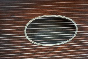 Zither WZ
