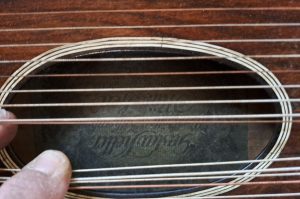 Zither WZ