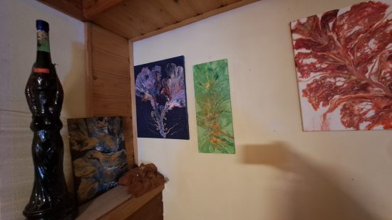 Deko OG