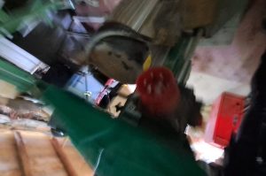 Holzspalter G4