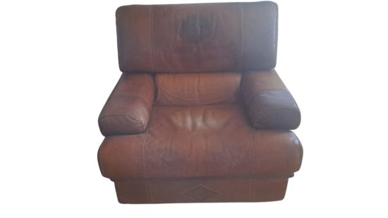 Lederfauteuil WZ