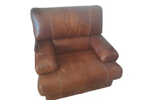 Lederfauteuil WZ