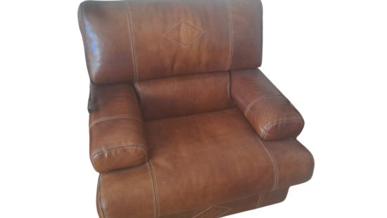 Lederfauteuil WZ