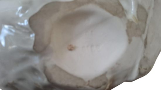 Porzellanskulptur Hund WZ