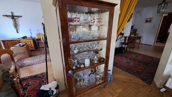 Glasvitrine WZ