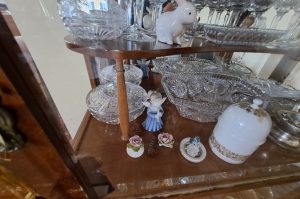 Glasvitrine WZ