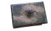 Metall Schatulle WZ