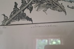 Farbradierung EZ