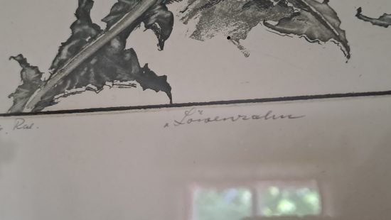 Farbradierung EZ