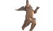 Putto WZ