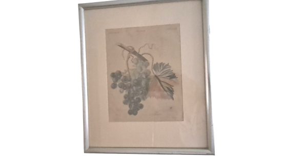 Wandbilder VVZ