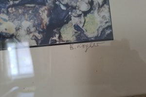 Bilder W2
