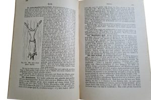 Historisches Kochbuch WZ