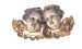 Putti WZ