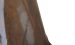 Vitrinenschrank WZ